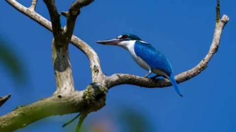 92a60b43f85056d29b6f9269c9641081-6ae33056c5326