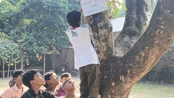 গাছে গাছে ১০ বছরের মুগ্ধের বার্তা, ছড়াচ্ছে সচেতনতার মুগ্ধতা