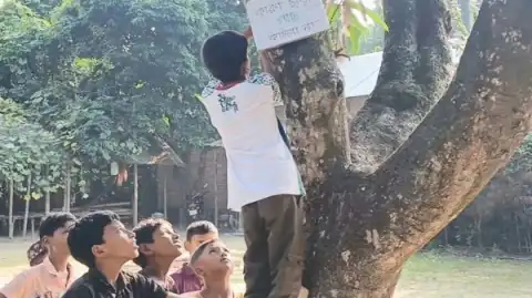 গাছে গাছে ১০ বছরের মুগ্ধের বার্তা, ছড়াচ্ছে সচেতনতার মুগ্ধতা