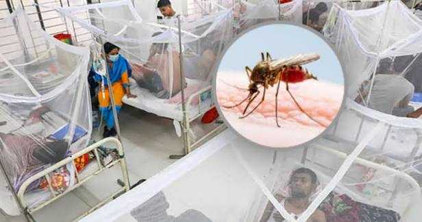 ডেঙ্গুতে আরও ৫ জনের মৃত্যু, হাসপাতালে ভর্তি ২২১৮
