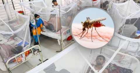 ডেঙ্গুতে আরও ৫ জনের মৃত্যু, হাসপাতালে ভর্তি ২২১৮