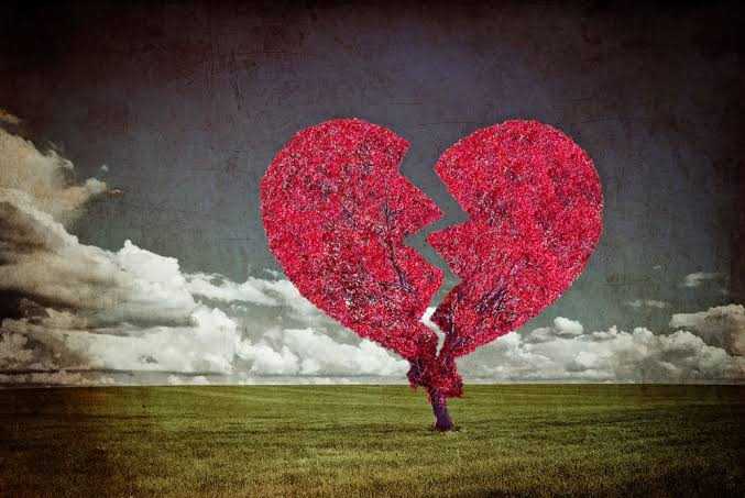 images (7)