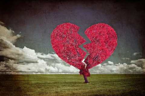 images (7)