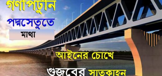 গণপিটুনি | পদ্মা সেতুতে মাথার গুজব | মানুষ কেন নির্মম হয়ে উঠছে? আইনের চোখে গুজবের সাতকাহন | Anannya