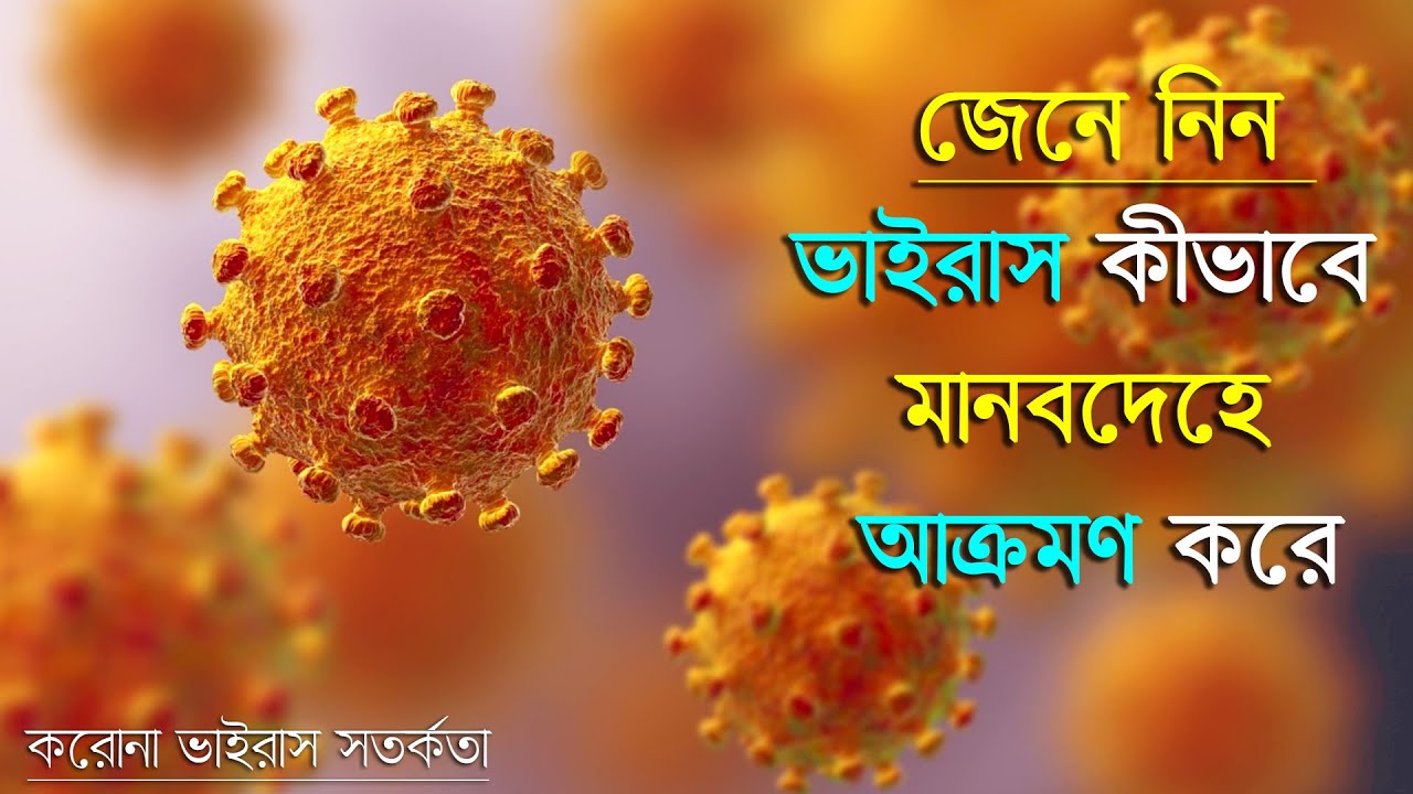 জীবাণু কীভাবে মানুষকে কুপোকাত করে? জীবাণুদের কীভাবে মানুষ কুপোকাত করে? জানালেন বিজ্ঞানী Amitava Roy
