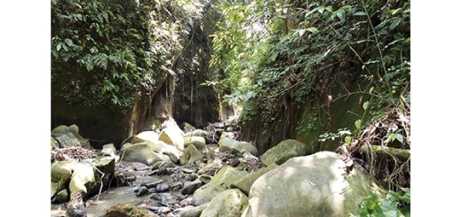প্রকৃতির নিসর্গ হাজারি খিল