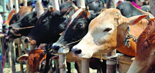 অসাবধানতা ডেকে আনতে পারে বিপদ