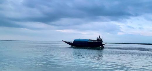 ঘুরে আসুন নিকলী হাওর