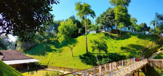 নভেম ইকো রিসোর্টের সৌন্দর্য