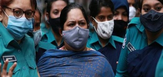 জামিন পেয়েছেন রোজিনা ইসলাম