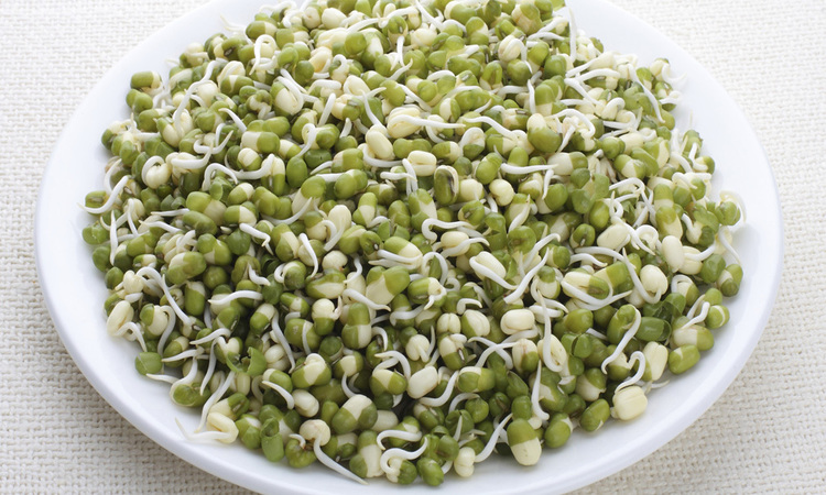 অঙ্কুরিত বীজ কেন খাবেন?