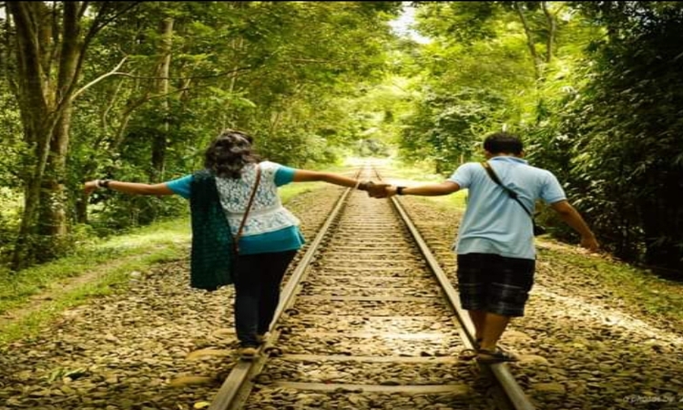 দুই শালিক