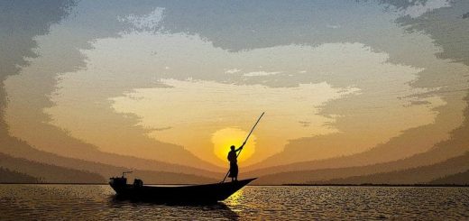 নাউয়ের ছুটি