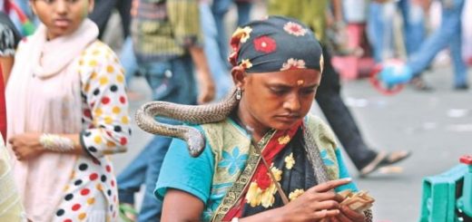 জোছনা&#8217;দের ফাঁকি দেবার গোপন রহস্য