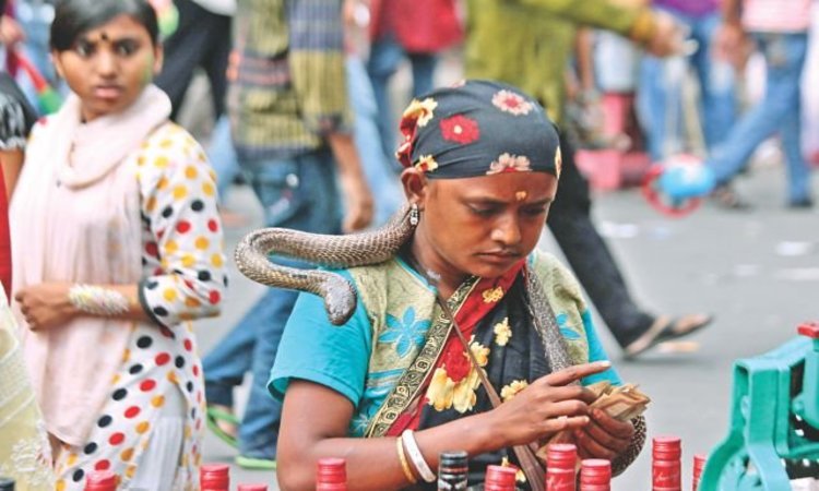জোছনা’দের ফাঁকি দেবার গোপন রহস্য