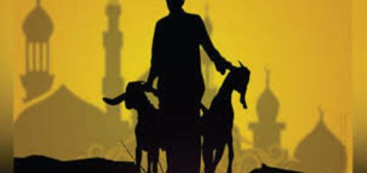 আসল কুরবানি
