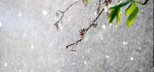 বৃষ্টি ঝরে 