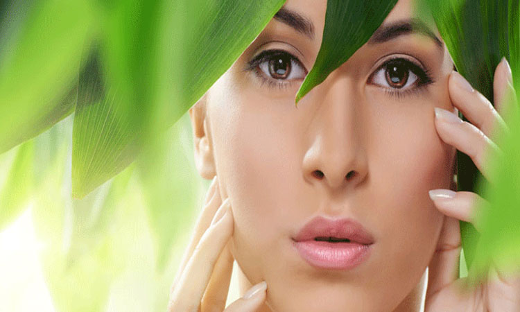 তৈলাক্ত ত্বকের যত্নে করণীয়
