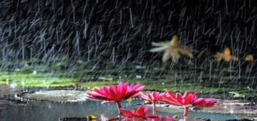 ঊনাবর্ষা