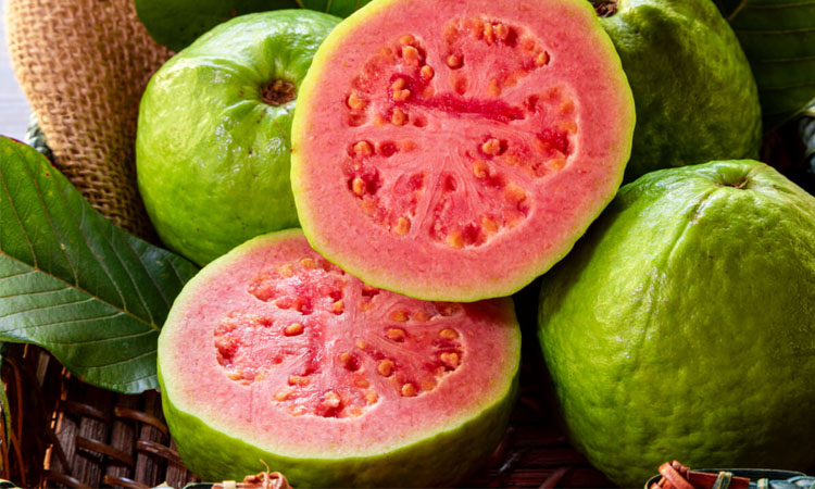 পেয়ারা খাওয়া ক্ষতিকারক যাদের জন্য