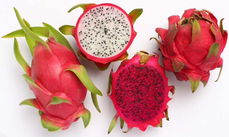 ‘ড্রাগন’ ক্যাকটাস প্রজাতির ফল