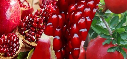 আনার দানা কেন হৃদয়ের শ্রেষ্ঠ হিতকর ফল?