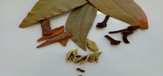 চার মশলার গুণাগুণ
