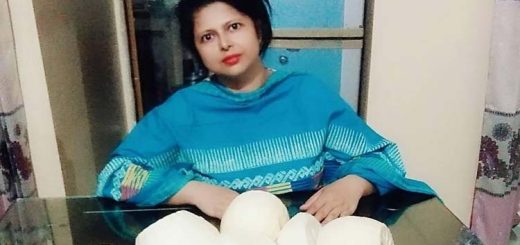 স্বপ্নের পথে পনির কন্যা কিশোরগঞ্জ