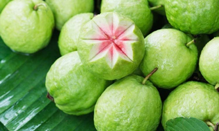 সাধারণ পেয়ারার অসাধারণ ক্ষমতা!