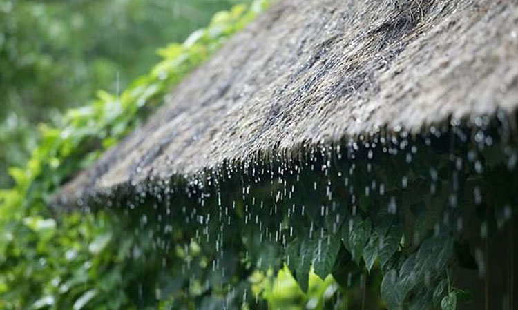 বাদল দিনে