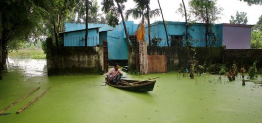 স্রোতের সাথে