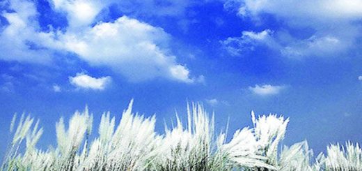 শরৎ প্রকৃতি