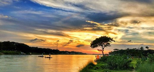 যে জীবনটি হারিয়ে গেছে
