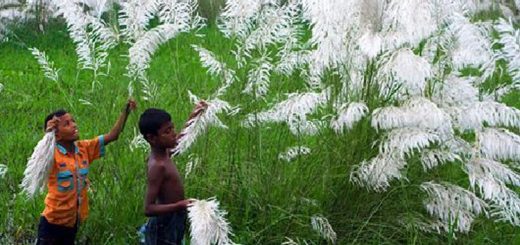 শরতে কিশোর বেলা
