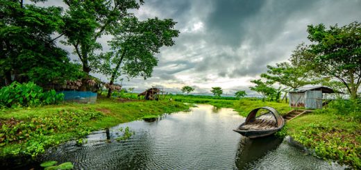 বাংলার রূপ