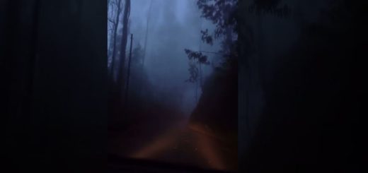 মৃতপ্রায় জীবনের উৎসবে