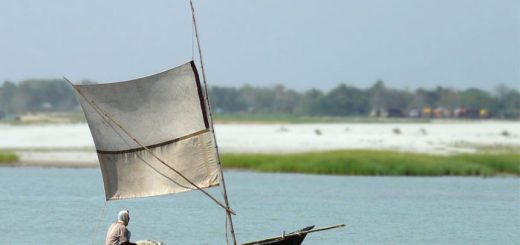 পদ্মা-মেঘনা-যমুনা