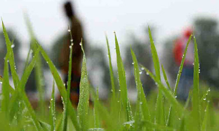 অবগুণ্ঠিতা