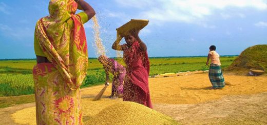 মিষ্টি হেমন্ত