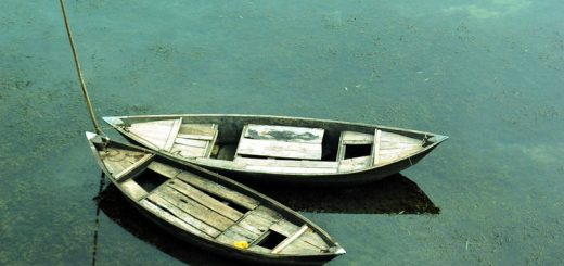 ডিঙ্গি নৌকা
