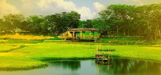 সোনার বাংলা গাও