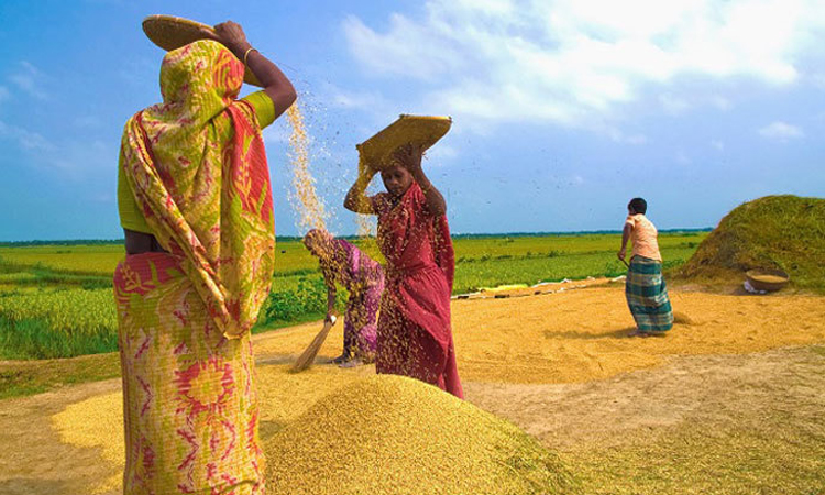 হৃদয়ছোঁয়া হেমন্ত