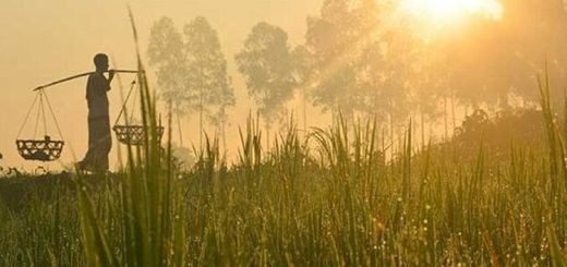 কার্তিকের রূপ
