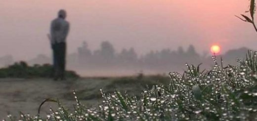 শীত  আনে