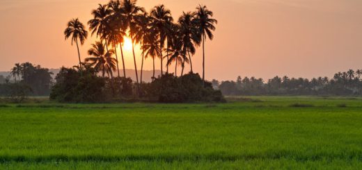 চলনা ঘুরে আসি