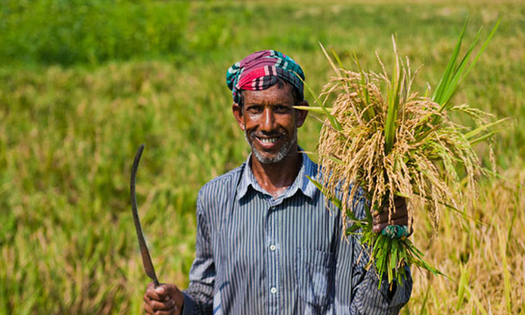 কৃষক 