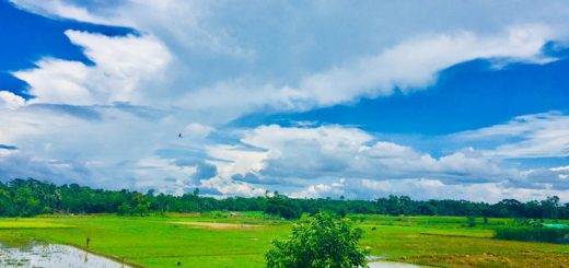 বাংলা মায়ের হাসি