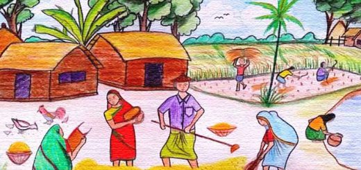 নবান্ন দিনে