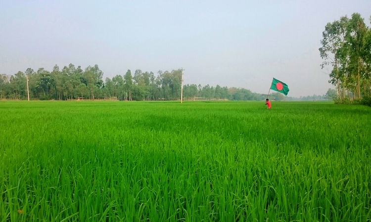 লাল সবুজের নিশান