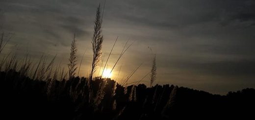 হেমন্তে মনে পড়ে